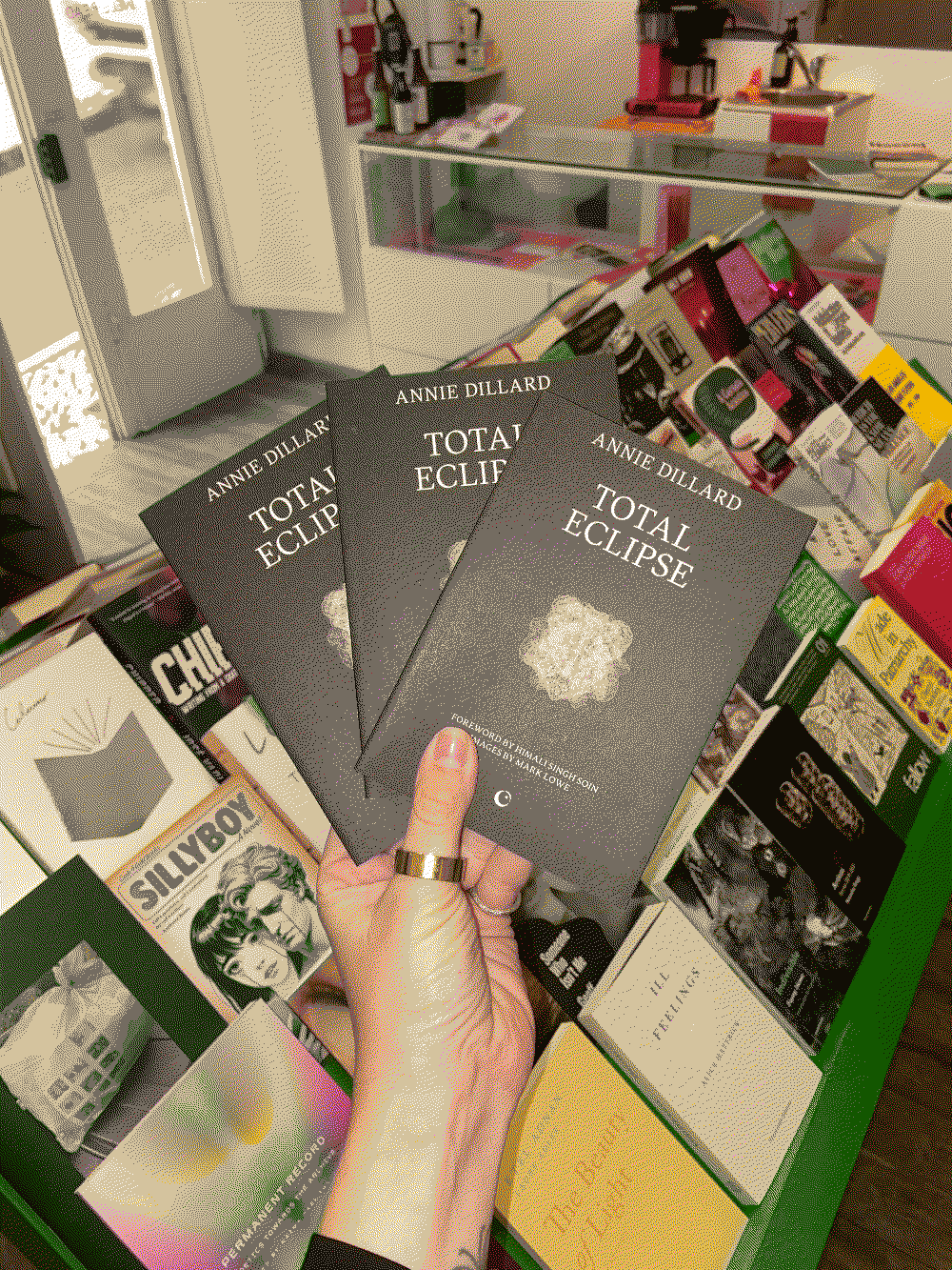 Capa do livro Total Eclipse